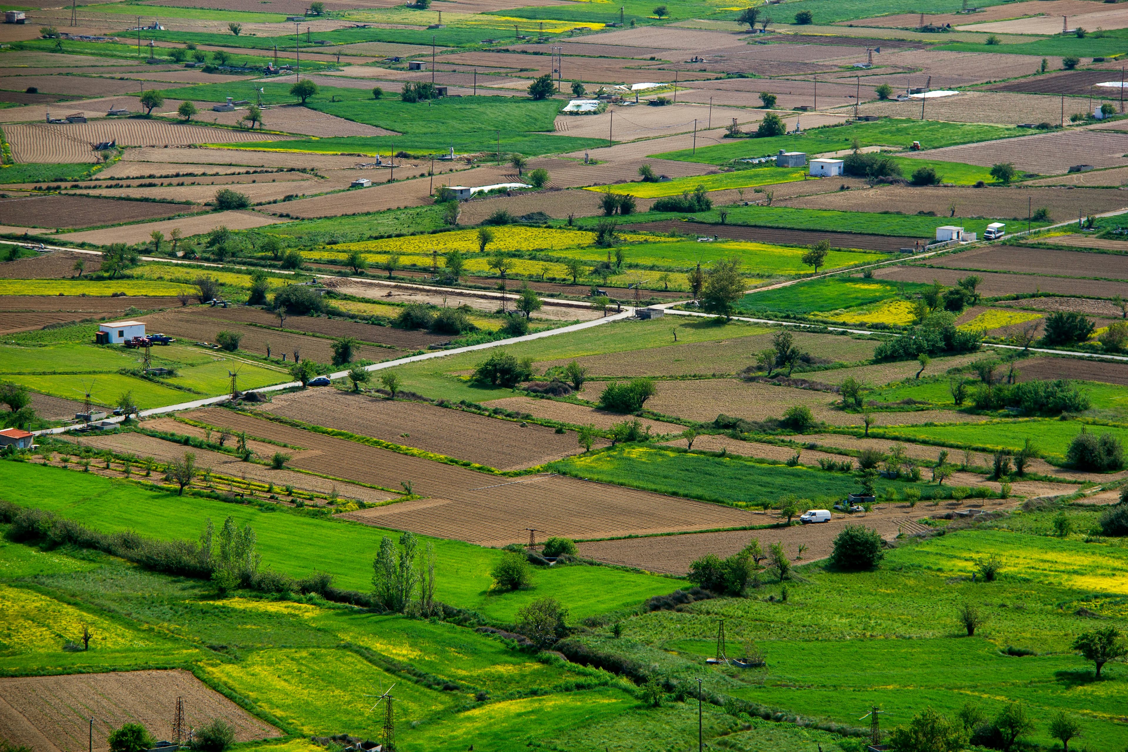 Land & Plots